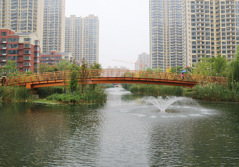 東南華城景觀橋大圖